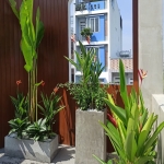 Thi công sân vườn nhà phố Quận 12 TP.HCM