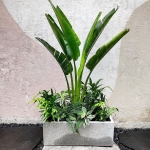 Thi công sân vườn nhà phố Quận 12 TP.HCM