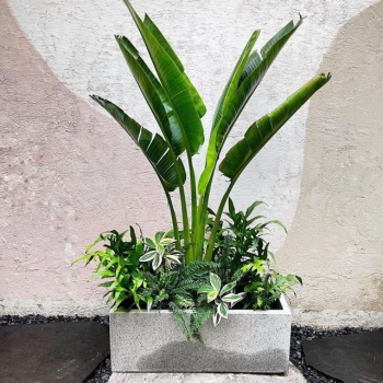 Thi công sân vườn nhà phố Quận 12 TP.HCM