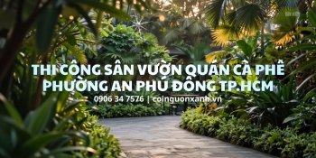 Thi công sân vườn quán cà phê ở Phường An Phú Đông TP.HCM