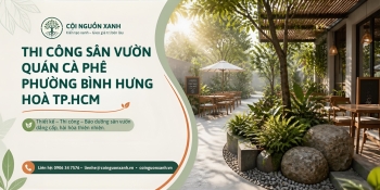 Thi Công Sân Vườn Quán Cà Phê Ở Phường Bình Hưng Hòa TP.HCM