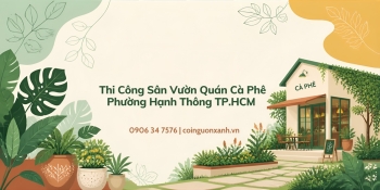 Thi công sân vườn quán cà phê ở Phường Hạnh Thông TP.HCM