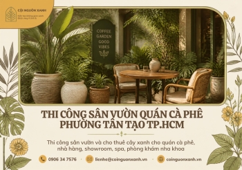 Thi Công Sân Vườn Quán Cà Phê Ở Phường Tân Tạo TP.HCM