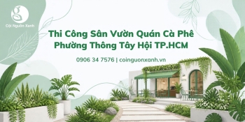 Thi Công Sân Vườn Quán Cà Phê Ở Phường Thông Tây Hội TP.HCM