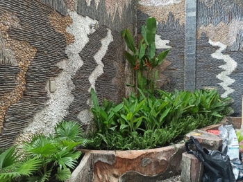 Tiểu Cảnh Sân Vườn Cho Văn Phòng – Giải Pháp Giảm Stress Hiệu Quả