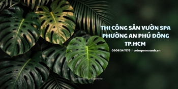 Thi công sân vườn spa tại Phường An Phú Đông TP.HCM – Đẹp, xanh, thư giãn