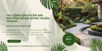 Thi công sân vườn spa tại Phường Đông Hưng Thuận TP.HCM