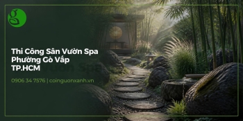 Thi Công Sân Vườn Spa Ở Phường Gò Vấp TP.HCM – Không Gian Thư Giãn Xanh