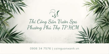 Thi Công Sân Vườn Spa Tại Phường Phú Thọ TP.HCM – Đẹp, Thư Giãn, Chuyên Nghiệp