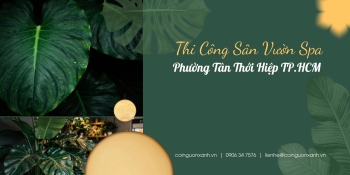 Thi công sân vườn spa tại Phường Tân Thới Hiệp TP.HCM đẹp, thư giãn