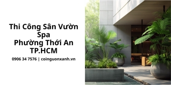 Thi công sân vườn spa ở Phường Thới An TP.HCM chuyên nghiệp, đẹp và thư giãn