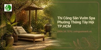 Thi Công Sân Vườn Spa Ở Phường Thông Tây Hội TP.HCM – Không Gian Thư Giãn Xanh, Sang Trọng
