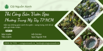 Thi công sân vườn spa tại Phường Trung Mỹ Tây TP.HCM