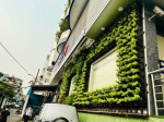 Thi công tường cây ngân hàng BIDV Quận 10 TP.HCM