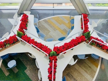 Trang Trí Văn Phòng Cuối Năm Với Dịch Vụ Cho Thuê Cây Xanh Ngắn Hạn