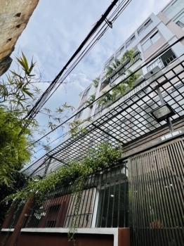 Thi công trồng cây xanh cho căn hộ dịch vụ 45 phòng ở Bình Thạnh, TP.HCM