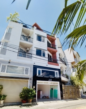 Thi Công Trồng Cây Sơn Liễu Thái Cho Nhà Phố Quận 7 TP.HCM