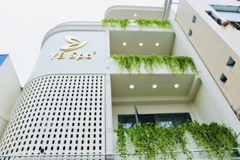 Thi Công Trồng Cây Xanh Cho Spa Ở Quận 10, TP.HCM