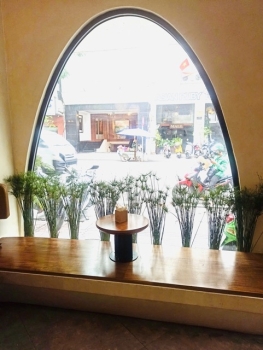 Trồng Cây Thủy Trúc Thái Vào Chậu Xi Măng Chữ Nhật Cho Quán Cà Phê Ở Quận 1