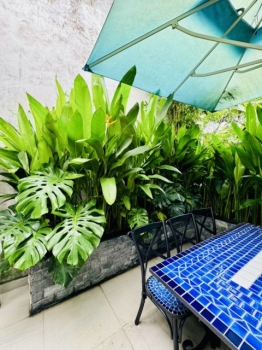 Trồng Cây Xanh Tiểu Cảnh Cho Xưởng Nội Thất Quận 12 TP.HCM