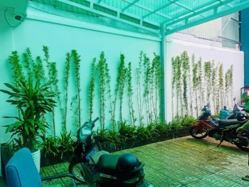 Thi Công Trồng Cây Vào Bồn Cho Ngân Hàng BIDV Chi Nhánh Phú Mỹ Hưng Quận 7