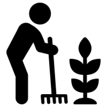 Thi công sân vườn